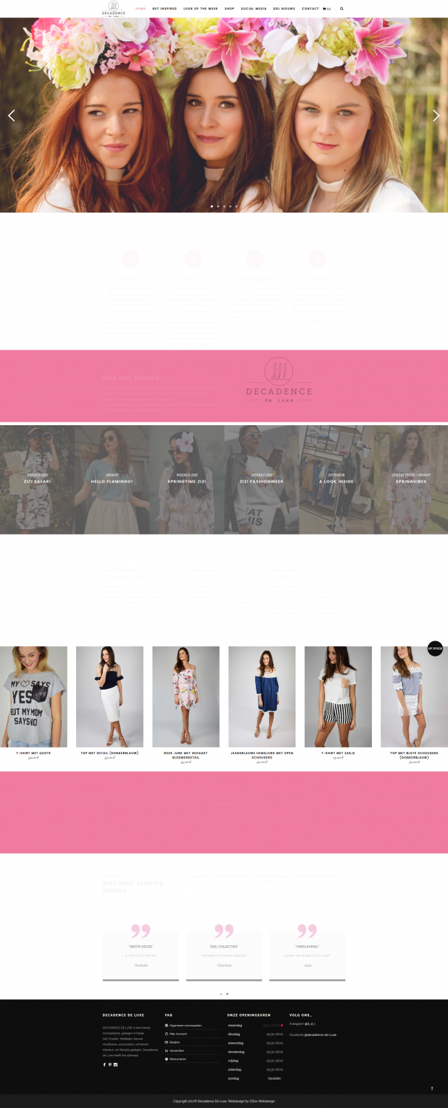 ZIZOO WEBDESIGN GOEDKOPE WEBSITE